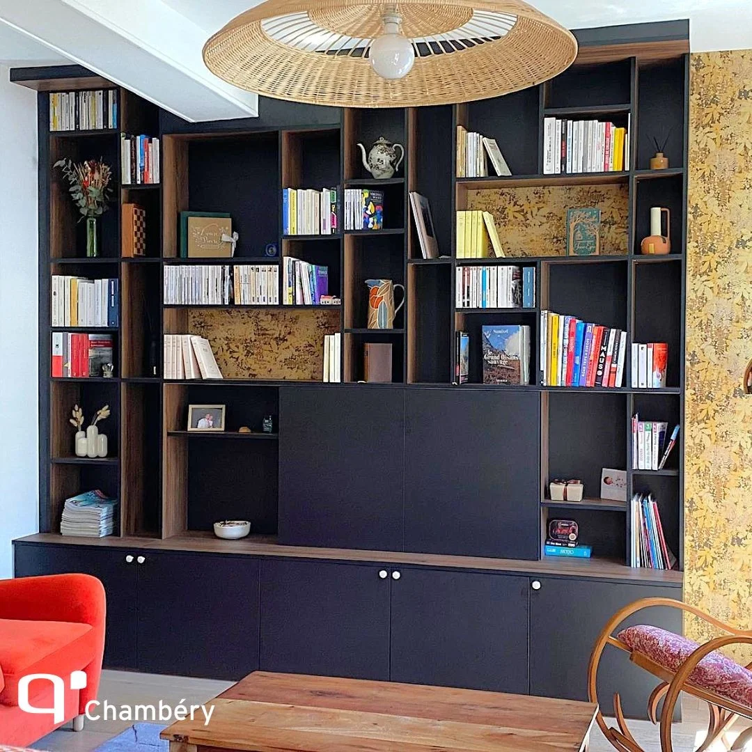 Bibliothèque / TV Cachée