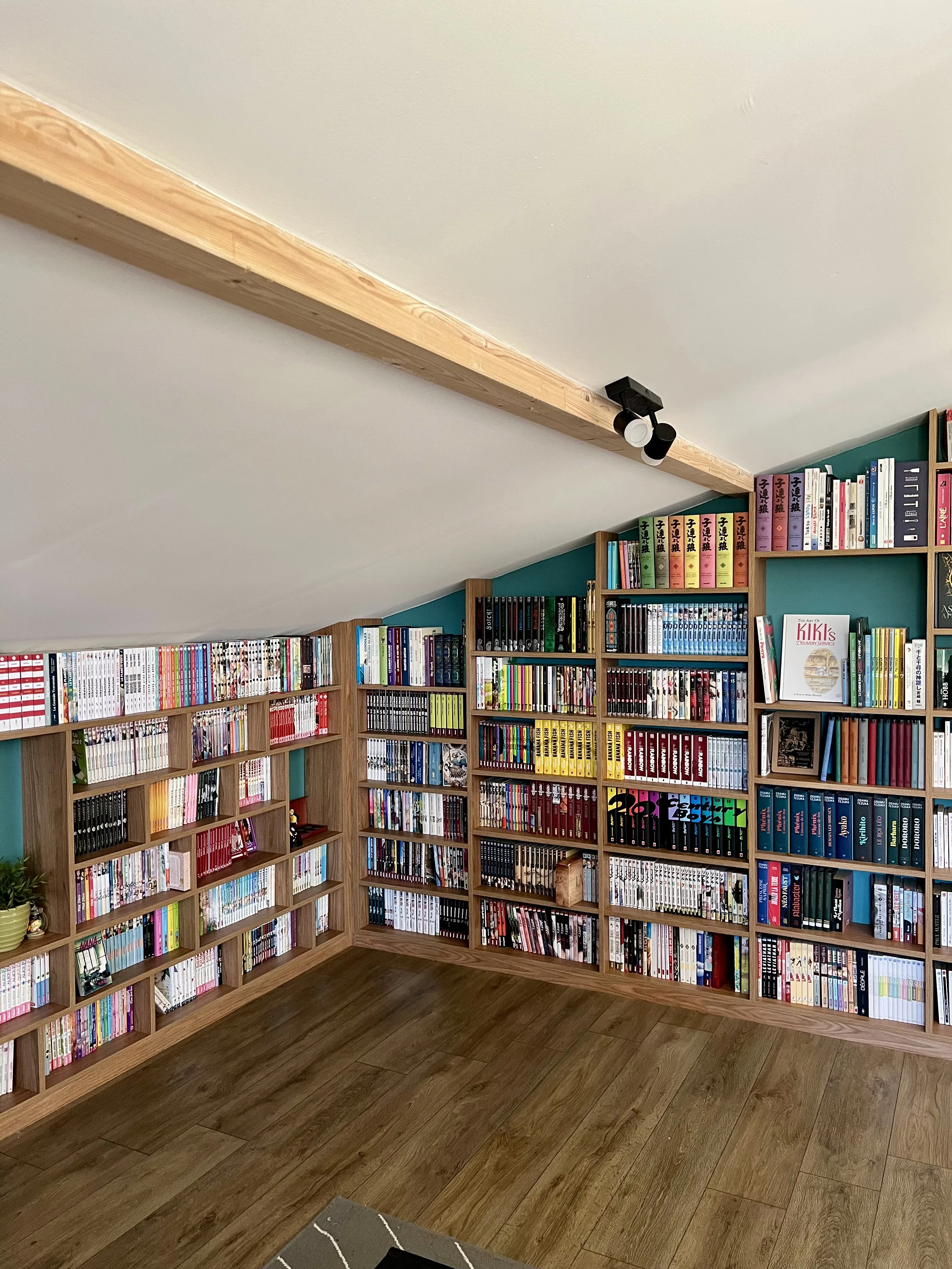 Bibliothèque sur-mesure passion manga